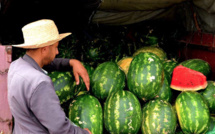 Agriculture: Le prix des pastèques suscite la polémique