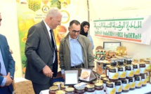 Sidi Bennour / INDH : Bilan positif de la phase III avec 343 projets programmés