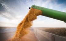 Agriculture : Les voies de la résilience face à la sécheresse