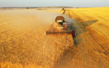 Agriculture : Les voies de la résilience face à la sécheresse [INTÉGRAL]