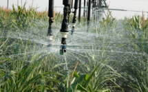 Irrigation climato-intelligente : Vers l’expansion du marché dédié à l’agriculture 4.0 ? [INTÉGRAL]