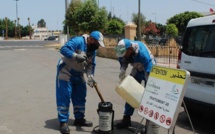 Rabat : Une vaste campagne de lutte contre les vecteurs de maladies