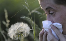 Allergies aux pollens de graminées : les erreurs qui empirent la crise