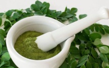 Moringa : Plante « miracle » qui fait le buzz