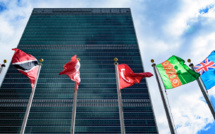 Comité de l’ONU sur l’élimination de la discrimination raciale: Le Maroc décroche une place de membre