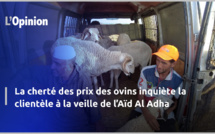La cherté des prix des ovins inquiète la clientèle à la veille de l’Aïd Al Adha (Reportage)