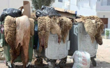 Gestion de déchets/ Aïd Al Adha: 5400 agents mobilisés à Casablanca 