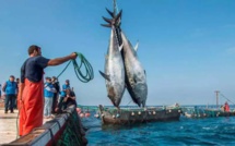 Maroc - UE : L’expiration imminente de l’accord de pêche préoccupe l’Espagne
