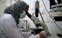 Recherche scientifique : Comment le nouveau fonds de soutien sauvera-t-il la mise ?
