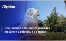 Une journée derrière les grillages du Jardin Zoologique de Rabat