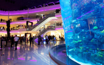 Morocco Mall : Le Shopping Festival fait son grand retour