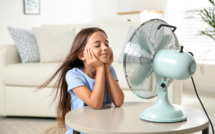 Ventilateur ou climatiseur : lequel choisir pour se rafraîchir cet été ?