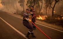 Feux de forêts : Avant-goût d’un été incendiaire