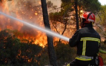 Feux de forêts : Avant-goût d’un été incendiaire [INTÉGRAL]