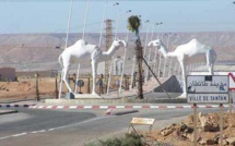Tan-Tan : Des acteurs économiques marocains et étrangers prospectent les opportunités d'investissement