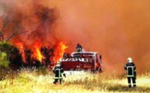Algérie : Au moins 34 morts dans des feux de forêt