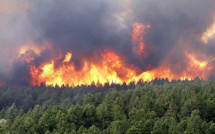 Incendies de forêts: Près de 3.900 hectares dévorés par les flammes au Maroc