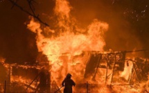 Incendies de forêts : 82 millions d’hectares partis en cendre en dix ans
