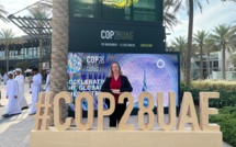 COP28 : Dubaï autorisera les rassemblements "pacifiques" de militants pour le climat