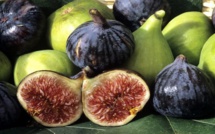 El Jadida / Ouled Frej : La figue produite à hauteur de 9000 T