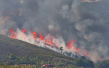 Taza : Le feu de la forêt de Maghraoua maitrisé à 75%