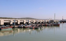 Port de Mehdia : Les débarquements de la pêche en progression de 150% à fin juillet
