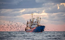 Expiration de l’accord de pêche Maroc-UE: Les pêcheurs andalous pris dans les filets de l’incertitude