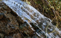 Ouarzazate : l’apparition de nouvelles sources d’eau suscite l'optimisme des villageois