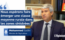 Interview de Mohammed Sadiki : « Nous espérons faire émerger une classe moyenne rurale dans les zones sinistrées »
