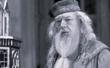 « Harry Potter » : Michael Gambon, qui incarnait Dumbledore, n’est plus
