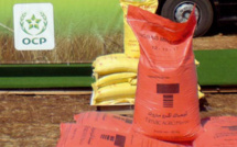Phosphates : Bangladesh s'apprête à commander de 110.000 tonnes d'engrais au Maroc