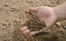 Oriental : Près de 21.500 quintaux d'engrais mis à la disposition des agriculteurs