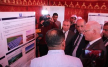Sidi Bennour / Betterave à sucre : Ambition d'atteindre une superficie de 13.000 Ha