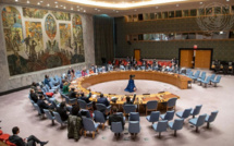 Conseil de Sécurité : quand l'Algérie se ridiculise par les digressions de sa diplomatie