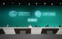 COP28 : Appel à tripler le nucléaire dans le monde d'ici à 2050