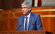Sadiki : Le Maroc et les Emirats partagent la même vision de coopération dans le secteur agricole