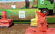 La Corée du Sud en passe de s'approvisionner en produits phosphatiers du Maroc au lieu de la Chine