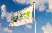 COP28 : D’abord « lever les blocages inutiles »