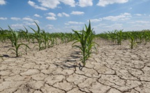 Stress hydrique: Baraka tire la sonnette d'alarme
