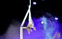 Spectacle : ALIS pas au pays des merveilles