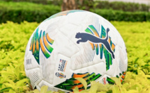 Spécial CAN 2023 / Les adversaires du Maroc :  La Zambie, refaire l’exploit de 20212 avec Hervé Renard !