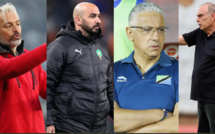 Spécial CAN 2023 / Adversaires du Maroc en phase de poules: Avram Grant, Sébastien Désarbre et Adel Amrouche ?