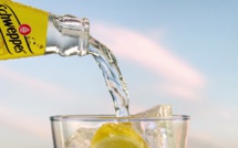 Consommation : Quid des bienfaits de la quinine ?