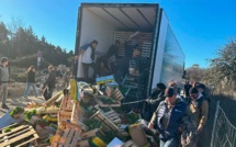 Furieux contre le gouvernement, les agriculteurs espagnols attaquent un camion de tomates marocaines