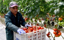 Accord agricole : la Comader dénonce la stigmatisation des produits marocains en Europe