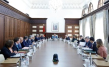 Conseil de gouvernement : Youssef Fadil nommé directeur général de l'Industrie au ministère de Ryad Mezzour 