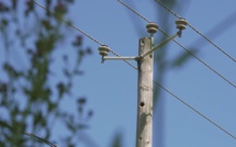 Poteaux en bois : 700 millions de dirhams pour sécuriser le réseau électrique