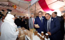 Festival de l'Amandier à Tafraoute : Aziz Akhannouch inaugure une fête d'envergure pour l'agriculture Marocaine