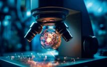 Propriété Industrielle et Commerciale : Le long chemin du Maroc vers l’innovation