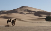 Désert marocain : Révélations sur la dune en étoile Lala Lallia